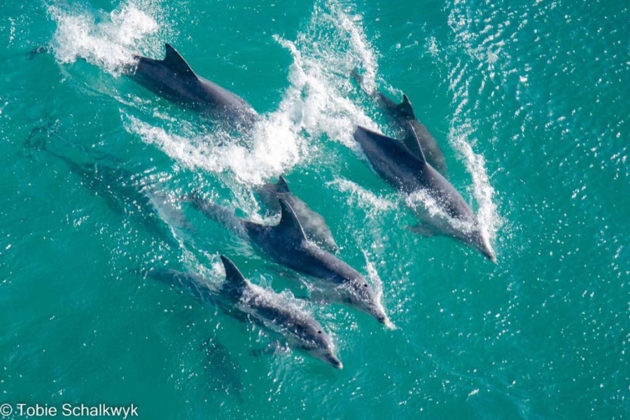 Commercial Property for Sale in Breakwater Bay Eco Estate Western Cape